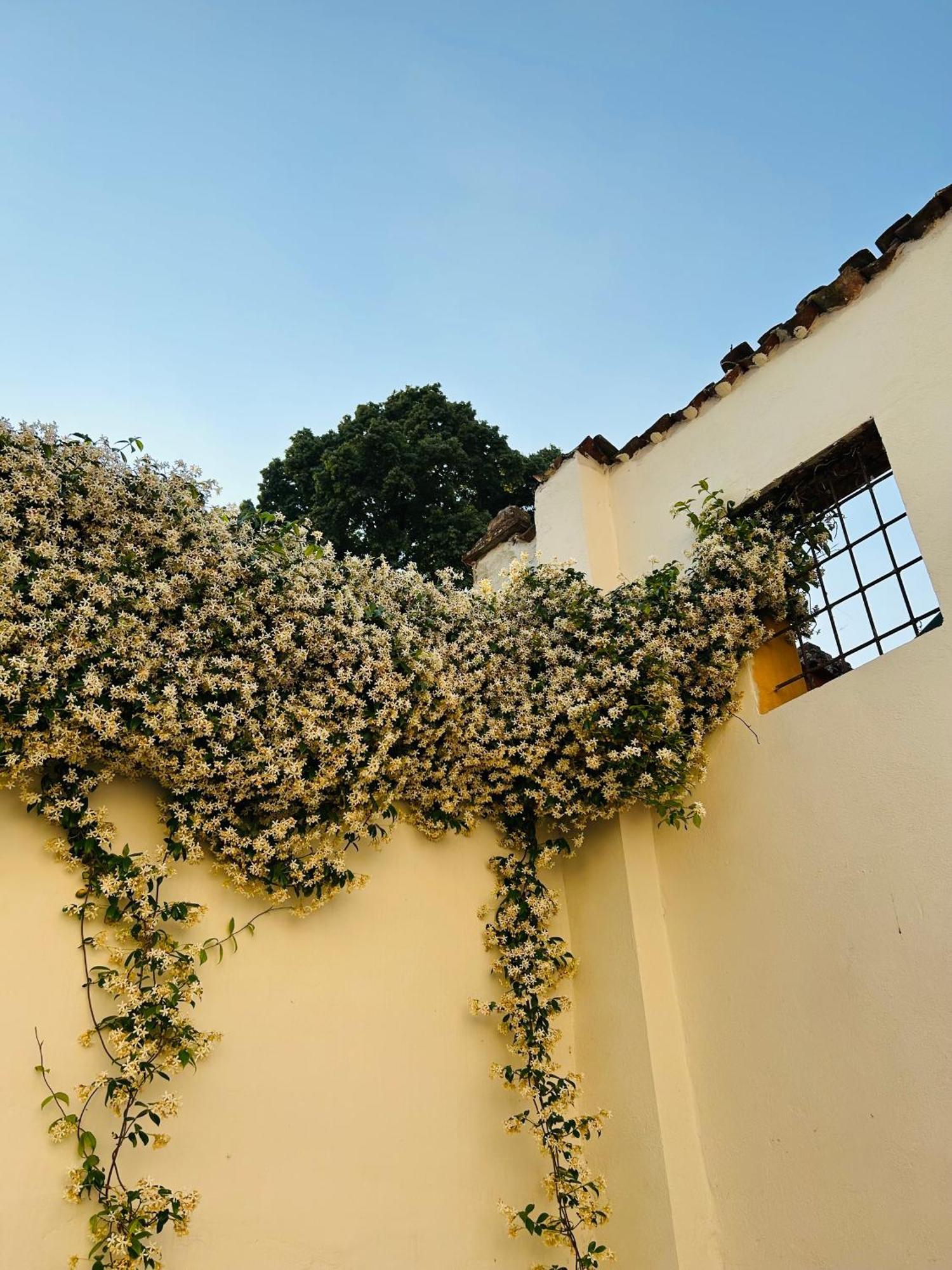 Pizzighettone Residenza La Corte Exterior photo