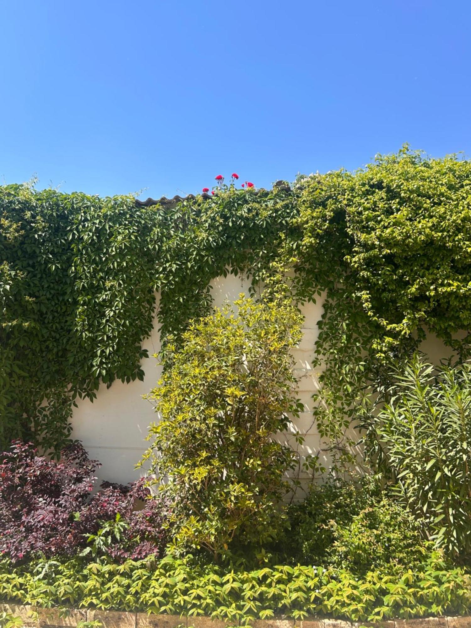 Pizzighettone Residenza La Corte Exterior photo